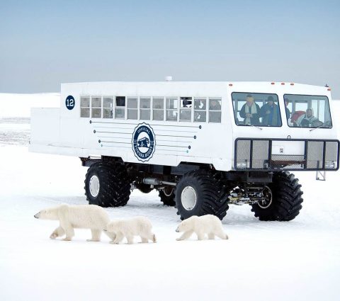 Frontiers North