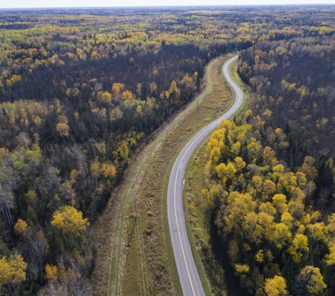An areal view of a winding road through yellow and green trees, along the shore of a lake.