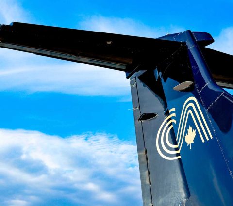 Close up on the Calm Air logo on the tail of an airplane.