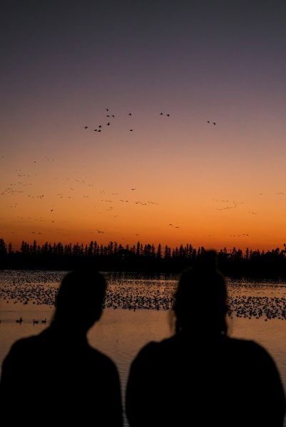 Two people watching geese at sunset at FortWhyte Alive
