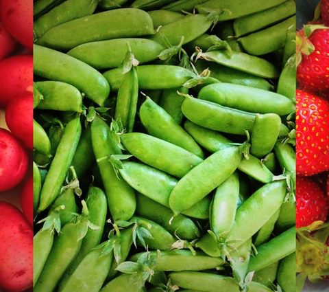 Brandon Farmers' Market